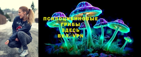 прущие крисы Арсеньев
