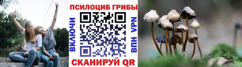 нарко площадка официальный сайт  Туран  Псилоцибиновые грибы GOLDEN TEACHER 